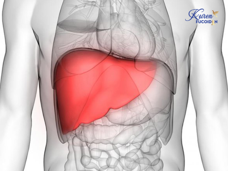 Ung thư gan giai đoạn cuối dẫn đến suy gan và suy thận Ung thư gan giai đoạn cuối dẫn đến suy gan và suy thận