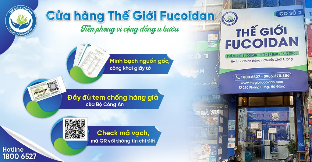 Cửa hàng Thế Giới Fucoidan - 210 Phùng Hưng