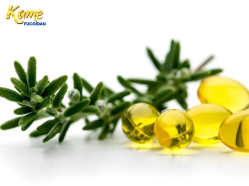 Phytochemical là gì? Có chữa ung thư được không?